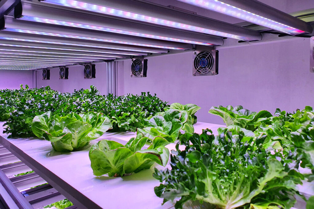 revolutionary-water-saving-technology-trialed-in-vertical-farming